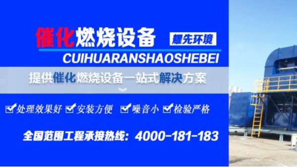 发挥催化燃烧设备性能，保持稳定温度，厂家易游体育现场试验！