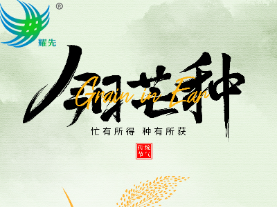 芒种遇世界环境日 | 耕耘希望，守护蔚蓝：易游体育环境与您共赴绿色之约